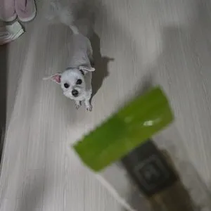 베스트 후기 이미지