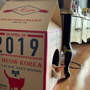 베스트 후기 이미지