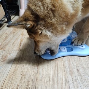 베스트 후기 이미지