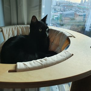 베스트 후기 이미지