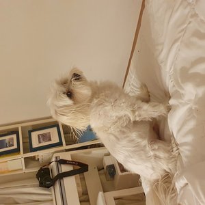 베스트 후기 이미지