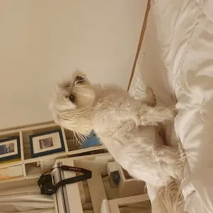 베스트 후기 이미지