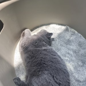 베스트 후기 이미지
