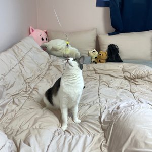 베스트 후기 이미지