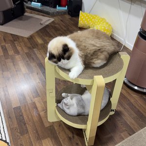 베스트 후기 이미지