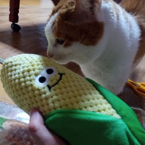 베스트 후기 이미지