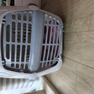 베스트 후기 이미지