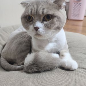 베스트 후기 이미지