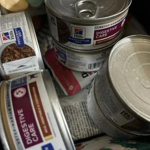 베스트 후기 이미지