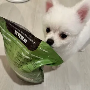 베스트 후기 이미지