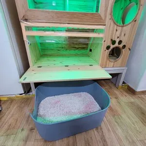 베스트 후기 이미지