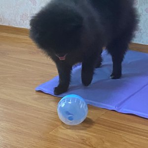 베스트 후기 이미지