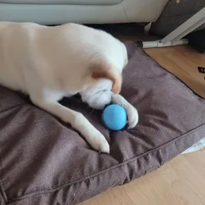 베스트 후기 이미지