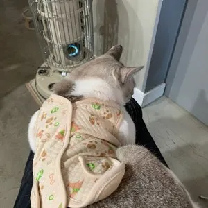 베스트 후기 이미지