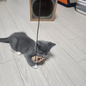 베스트 후기 이미지