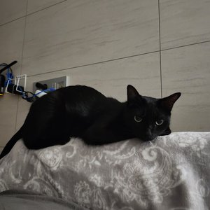 베스트 후기 이미지