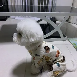 베스트 후기 이미지