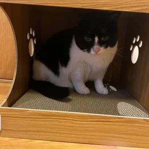 베스트 후기 이미지