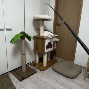 베스트 후기 이미지