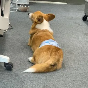 베스트 후기 이미지