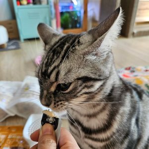 베스트 후기 이미지