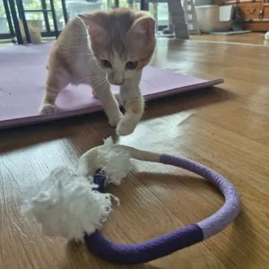 베스트 후기 이미지