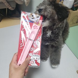 베스트 후기 이미지