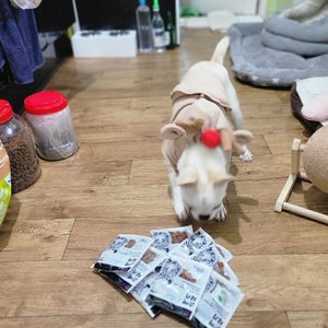 베스트 후기 이미지