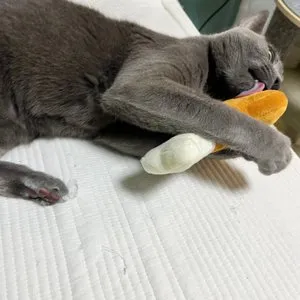 베스트 후기 이미지