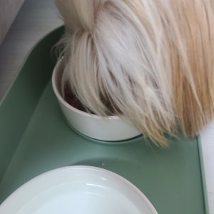 베스트 후기 이미지