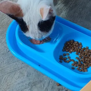 베스트 후기 이미지