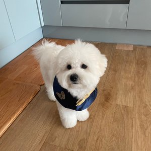 베스트 후기 이미지