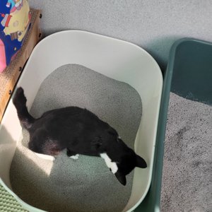 베스트 후기 이미지