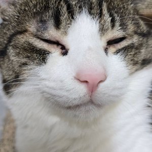 베스트 후기 이미지