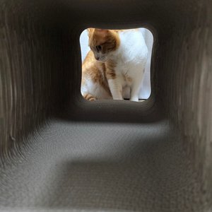 베스트 후기 이미지