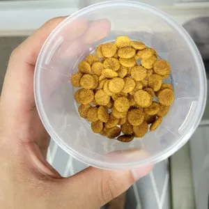 베스트 후기 이미지