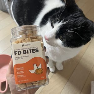 베스트 후기 이미지