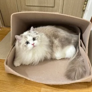 베스트 후기 이미지