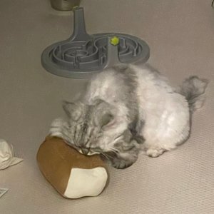 베스트 후기 이미지