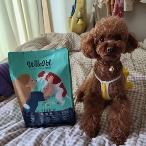 윌로펫 독 뉴트리탑 어덜트 1.2kg 베스트 후기 이미지