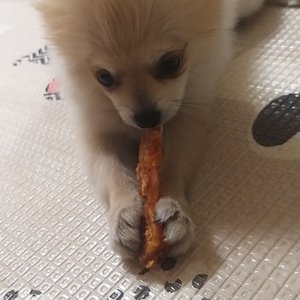 베스트 후기 이미지