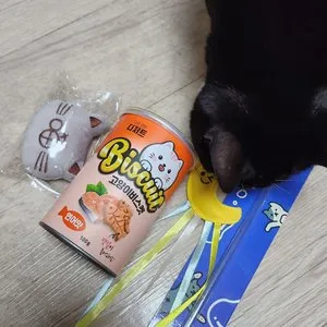 베스트 후기 이미지