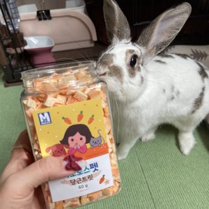 베스트 후기 이미지