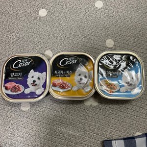 베스트 후기 이미지