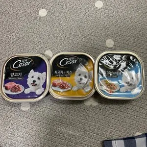 베스트 후기 이미지