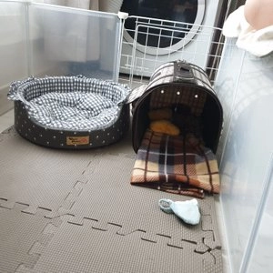 펫스크 미세먼지차단 순면 마스크 민트 XS-XL  베스트 후기 이미지