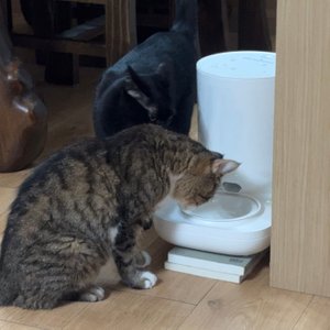 베스트 후기 이미지