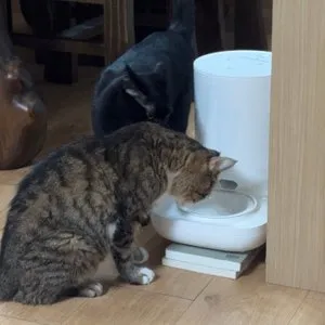 베스트 후기 이미지