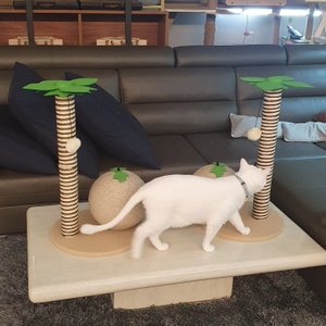 베스트 후기 이미지