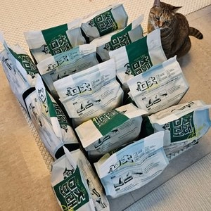 ㅁㅊ모래 파워스쿱 카사바블렌드 6.3kg 베스트 후기 이미지